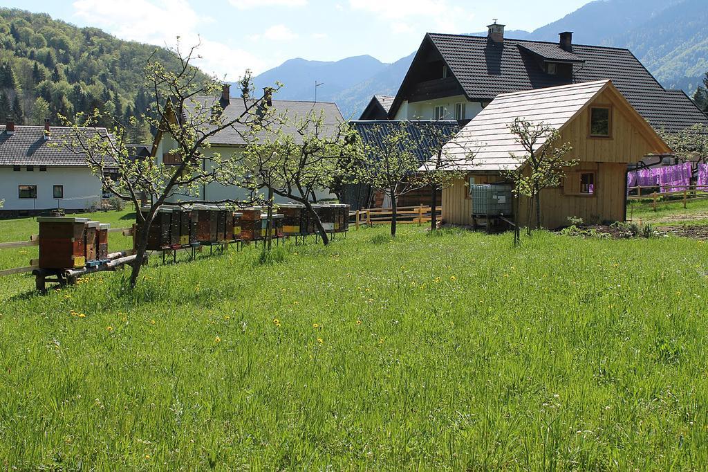 בוהין Apartments And Rooms Cerkovnik מראה חיצוני תמונה